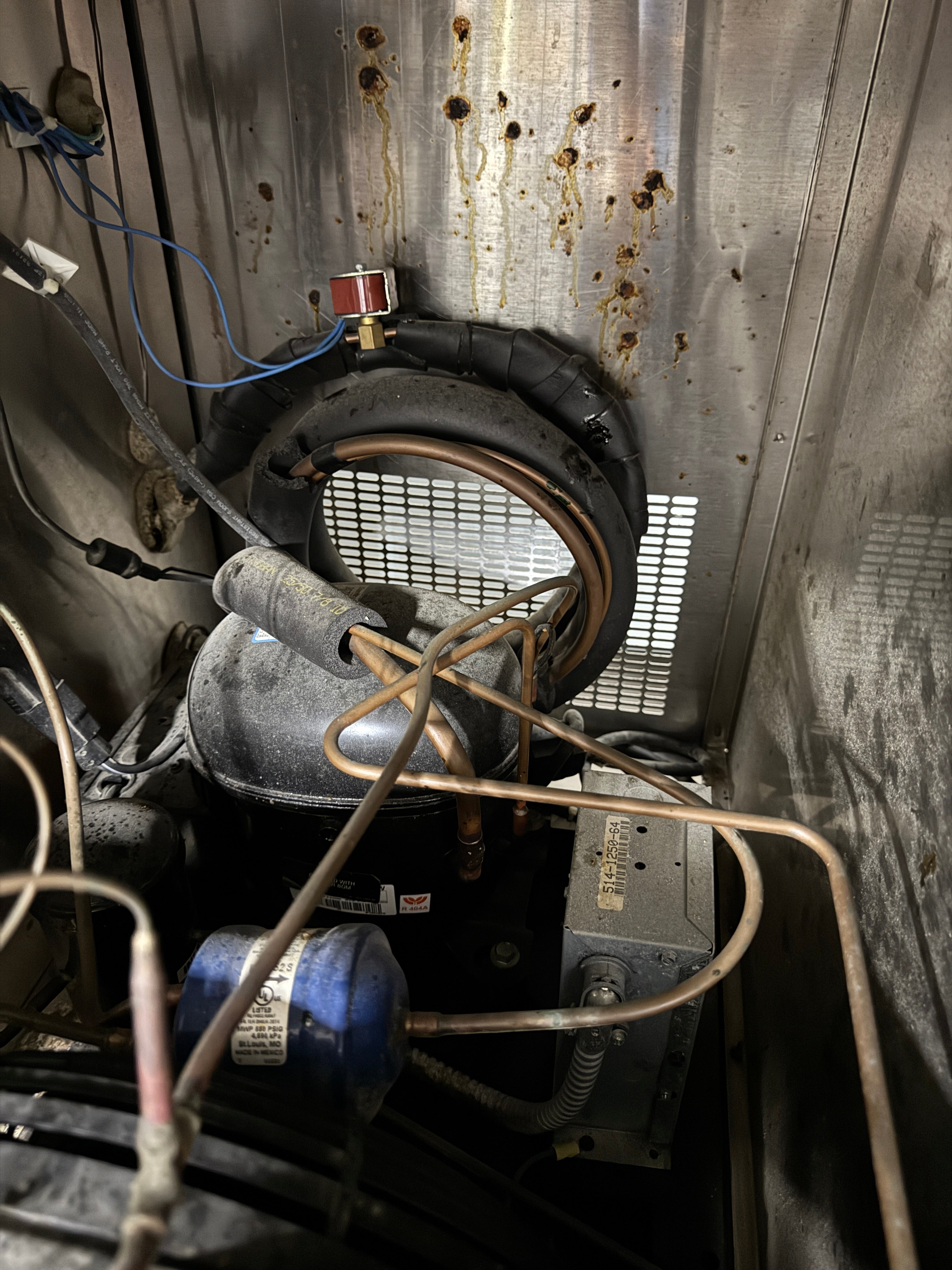 S/S Worktop Blast Chiller | Randell | M# BC-5E | 115v