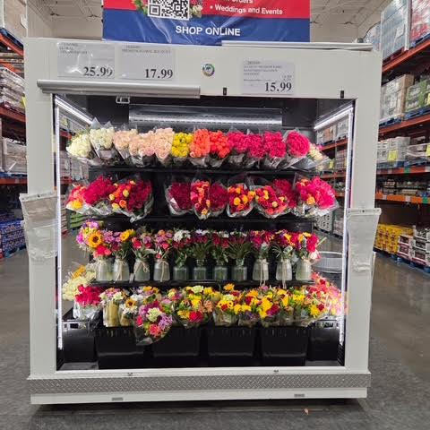Floral Case (2024) | Killion | Model # FFM-93-57-99 | 208/230 Volt Single Phase
